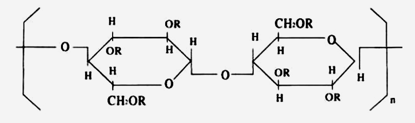 HydroxyPropyl Methyl Cellulose